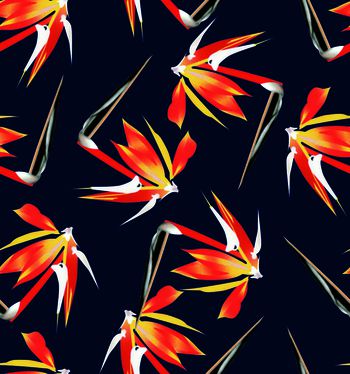 538987-金黄色天堂鸟花