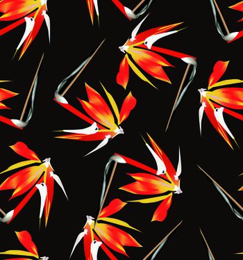 538989-金黄色天堂鸟花