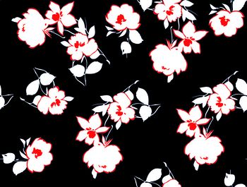 539002-大方简单花卉