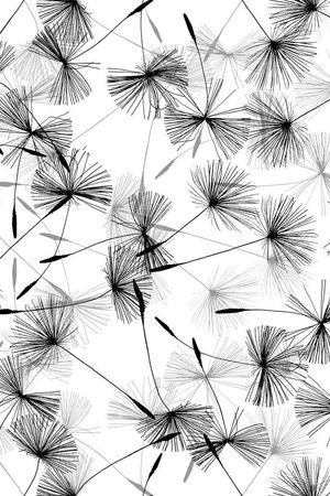 清新可爱华亿平台印花华亿平台图片