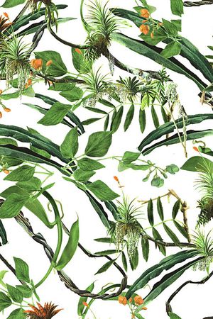 树枝印花华亿平台图片