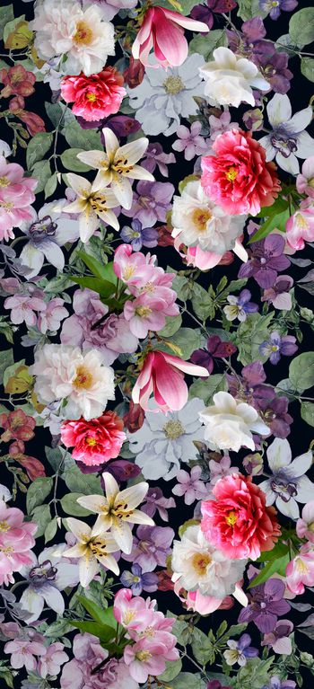 539078-花卉    白色花瓣   叶子