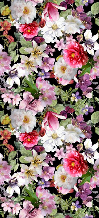 539095-花卉    白色花瓣   叶子