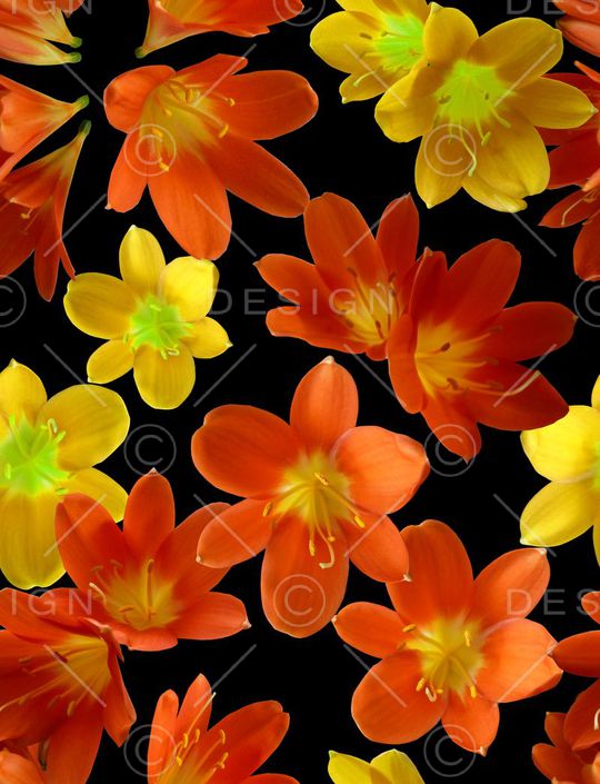 服装印花华亿平台图片