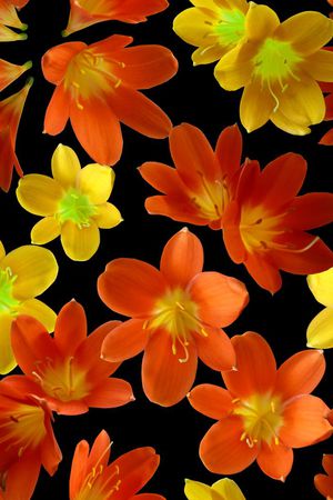 服装印花华亿平台图片