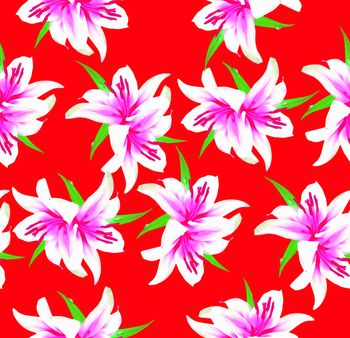 539183-华丽的百合花