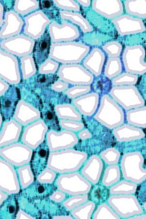 现代印花华亿平台图片