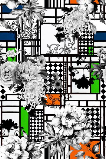 539498-大牌色块佩斯利黑白几何花卉组合