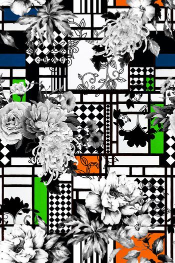 539499-大牌色块佩斯利黑白几何花卉组合