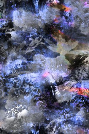 翠鸟印花华亿平台图片