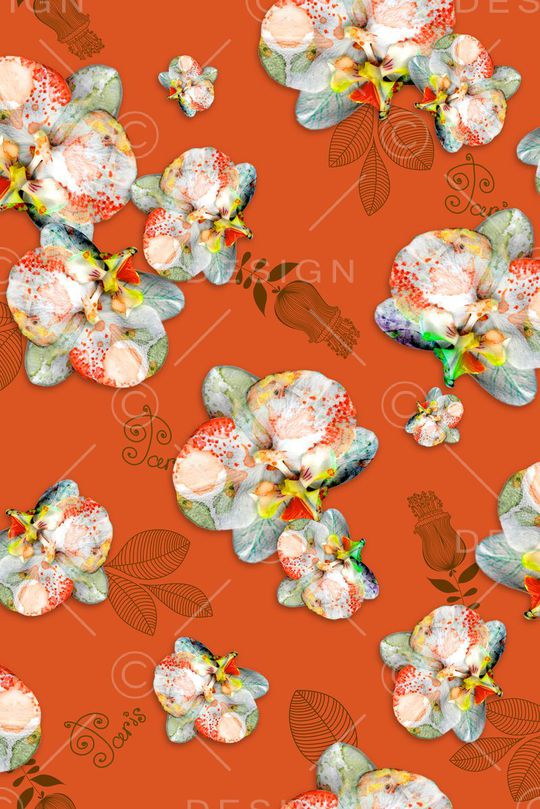 蝴蝶兰印花华亿平台图片