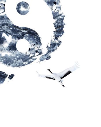 539805-抽象中国风太极图山水树木白鹤定位图