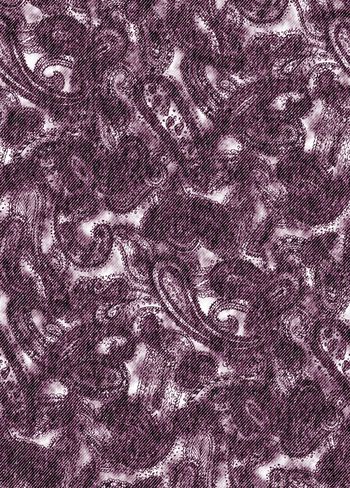 539874-佩斯利牛仔纹理