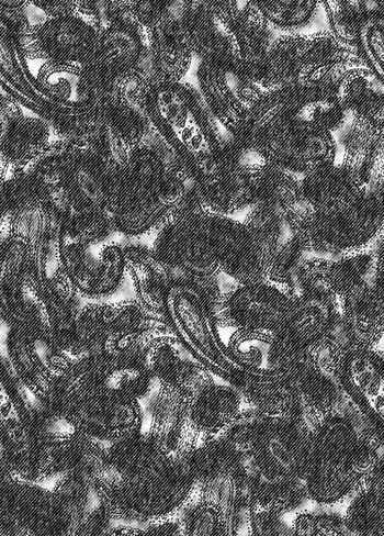 539875-佩斯利牛仔纹理