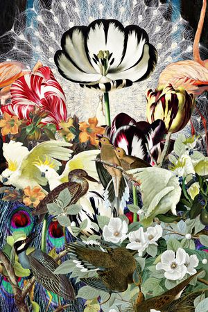 创意印花华亿平台图片