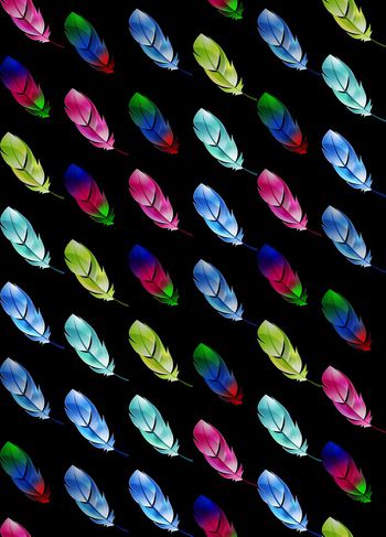 539966-时尚潮流 彩虹羽毛 