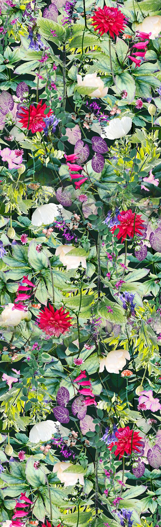 植物印花华亿平台图片