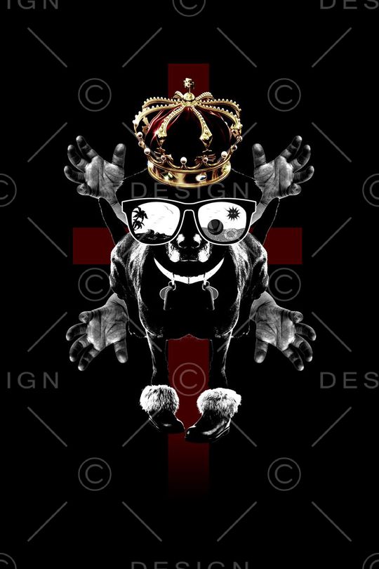 动物狗眼镜印花华亿平台图片