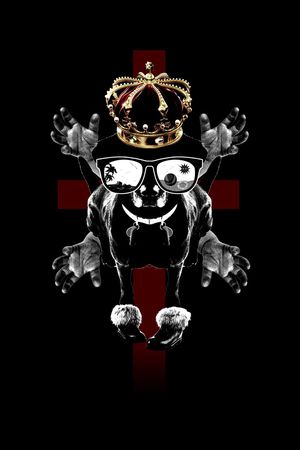 动物狗眼镜印花华亿平台图片