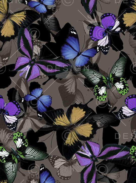 时尚 流行印花华亿平台图片