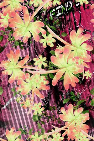 花卉风景印花华亿平台图片