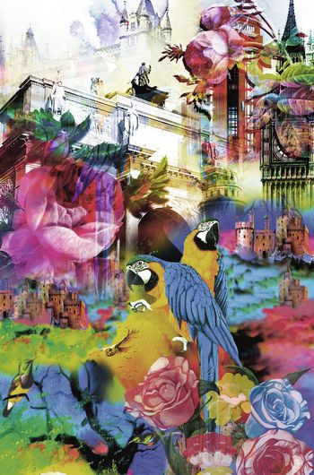 540462-抽象花鸟 建筑