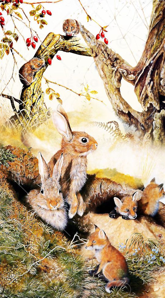 创意印花华亿平台图片