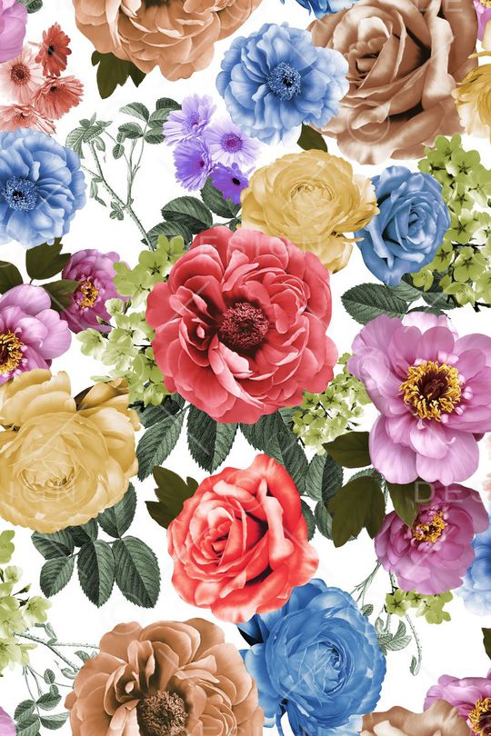 大气清爽印花华亿平台图片