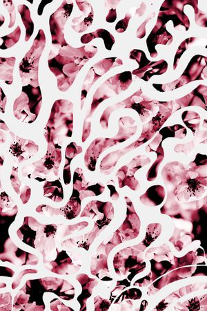 花卉组合印花华亿平台图片