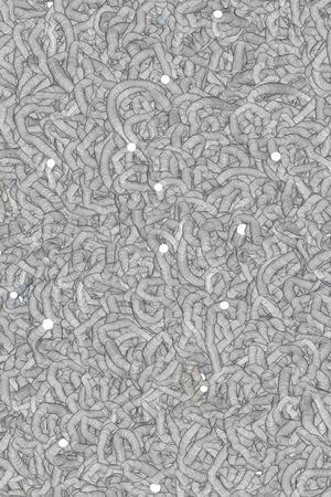 圆形印花华亿平台图片