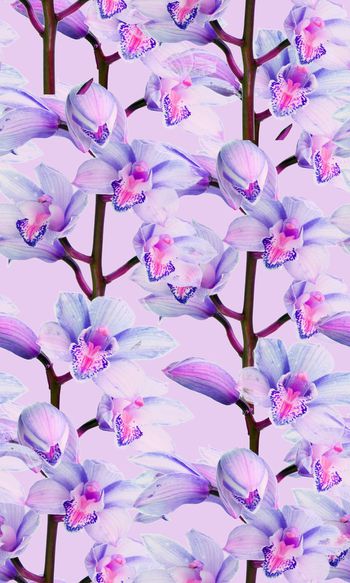 541110-春暖花开时尚花卉印花