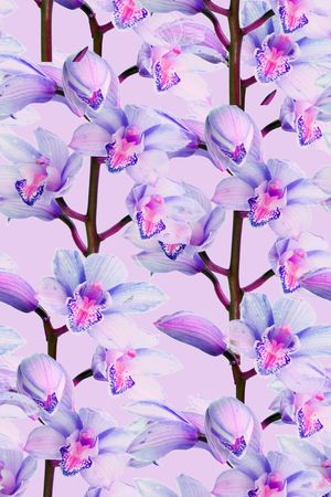 自然写意印花华亿平台图片