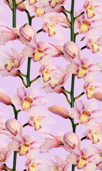 541111-春暖花开时尚花卉印花