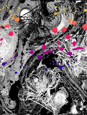 541166-岩石山石肌理纹理花卉女装衬衣布衣沙