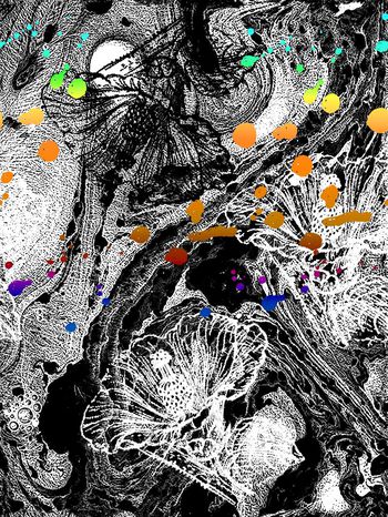 541167-岩石山石肌理纹理花卉女装衬衣布衣沙