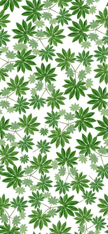 541201-树叶热带风情