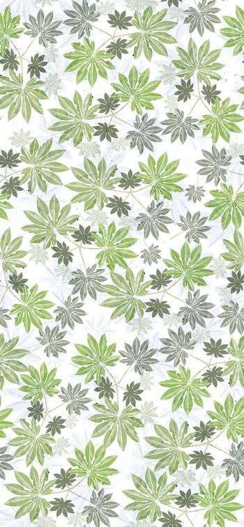 541205-树叶热带风情