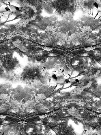 541287-抽象松树纹理飞鹤男装图案