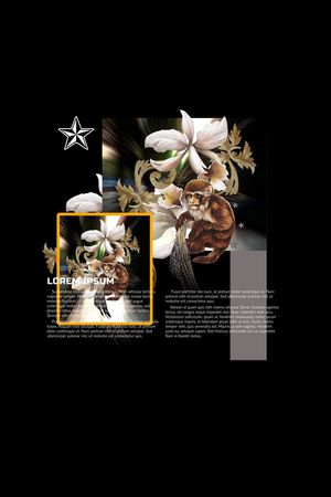 时尚印花华亿平台图片