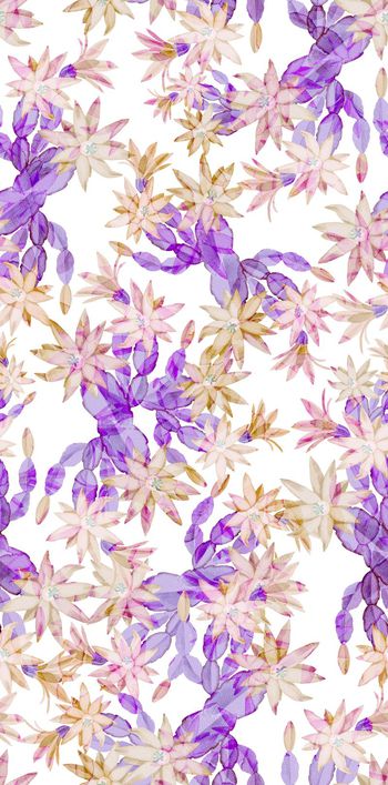 541589-花朵花卉植物