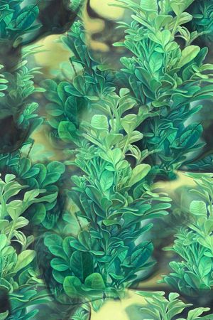 潮流印花华亿平台图片