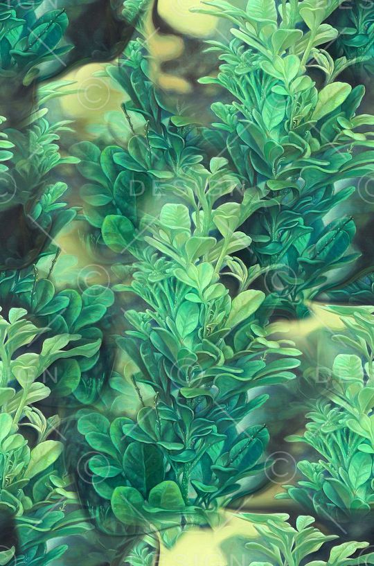 潮流印花华亿平台图片