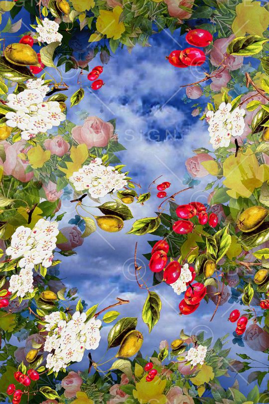 欧美风印花华亿平台图片