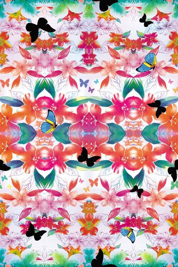 541837-它在丛中笑