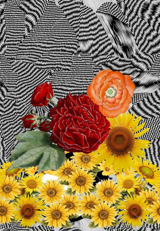 时尚潮流印花华亿平台图片