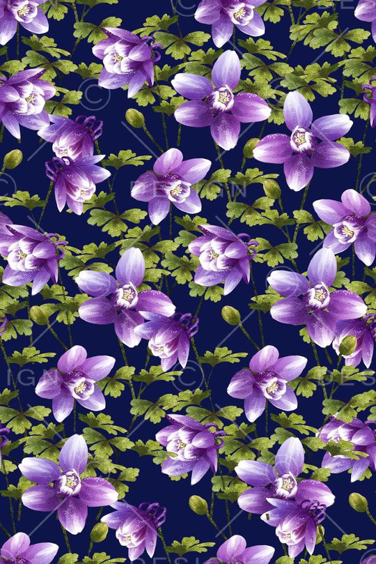 绿叶 紫花 组合华亿平台印花华亿平台图片