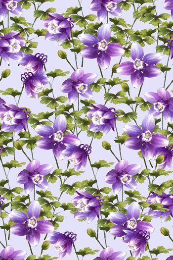 542162-唯美  绿叶 紫花  组合