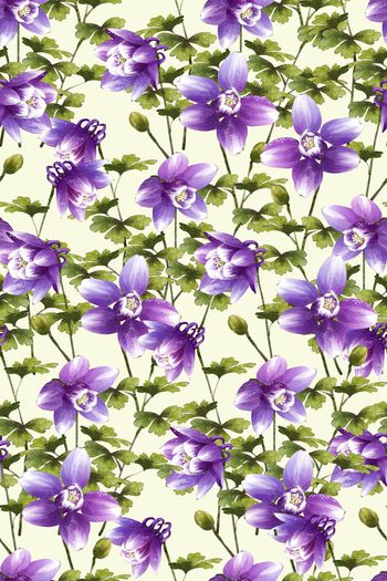 542163-唯美  绿叶 紫花  组合