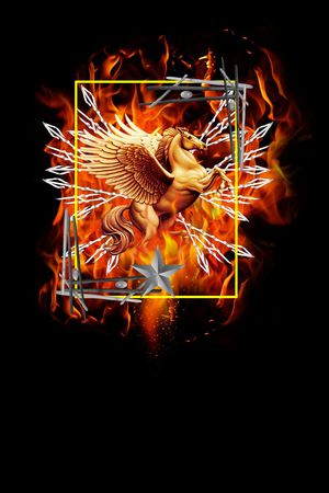 潮流印花华亿平台图片