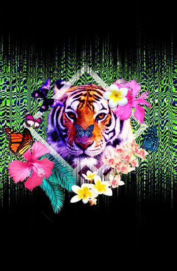 542211-時尚老虎頭定位华亿平台